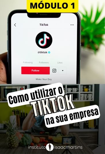 Por dentro do TikTok